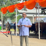 Pemprov DKI Pastikan Seluruh Hewan Kurban di Jakarta Bebas Penyakit Antraks hingga PMK