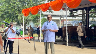 Pemprov DKI Pastikan Seluruh Hewan Kurban di Jakarta Bebas Penyakit Antraks hingga PMK