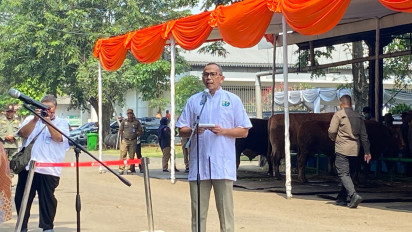 Pemprov DKI Pastikan Seluruh Hewan Kurban di Jakarta Bebas Penyakit Antraks hingga PMK