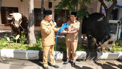 Mendagri Serahkan Hewan Kurban Kemendagri dan BNPP, Ada Ratusan Sapi dan Kambing