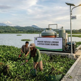 Eceng Gondok Disulap Jadi Listrik di Waduk Cengklik