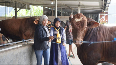 Anak-anak dan Relawan Ikut Pembelajaran Langsung Soal Hewan Kurban