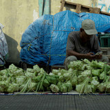 Lensa Berbicara: Ramai Diburu Warga, Harga Kulit Ketupat Justru Anjlok