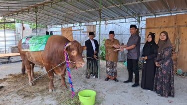 Ponpes Al Fatimah Bojonegoro Terima Sapi Kurban Banpres Prabowo Berbobot 1,2 Ton