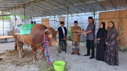 Ponpes Al Fatimah Bojonegoro Terima Sapi Kurban Banpres Prabowo Berbobot 1,2 Ton