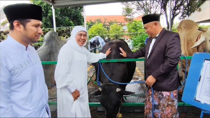 Khofifah Serahkan Sapi Kurban Presiden Prabowo di Masjid Al-Akbar, 2000 Paket Daging Disiapkan untuk Warga