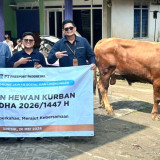 Iduladha 1447 H, MIND ID Salurkan 1.735 Hewan Kurban di 20 Wilayah Operasional