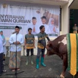 DPP Partai Golkar Kurban 47 Sapi dan 4 Ekor Kambing, Daging Didistribusikan ke Pesantren-Masyarakat Jakarta Utara