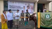 DPP Partai Golkar Kurban 47 Sapi dan 4 Ekor Kambing, Daging Didistribusikan ke Pesantren-Masyarakat Jakarta Utara