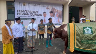 DPP Partai Golkar Kurban 47 Sapi dan 4 Ekor Kambing, Daging Didistribusikan ke Pesantren-Masyarakat Jakarta Utara
