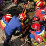 Panik saat Hendak Disembelih, Sapi Kurban 350 Kilogram Terperosok ke Gorong-Gorong di Pulogadung