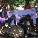 Dari KAI untuk Aceh: Salurkan Hewan Kurban ke Desa Sunting yang Terkena Banjir