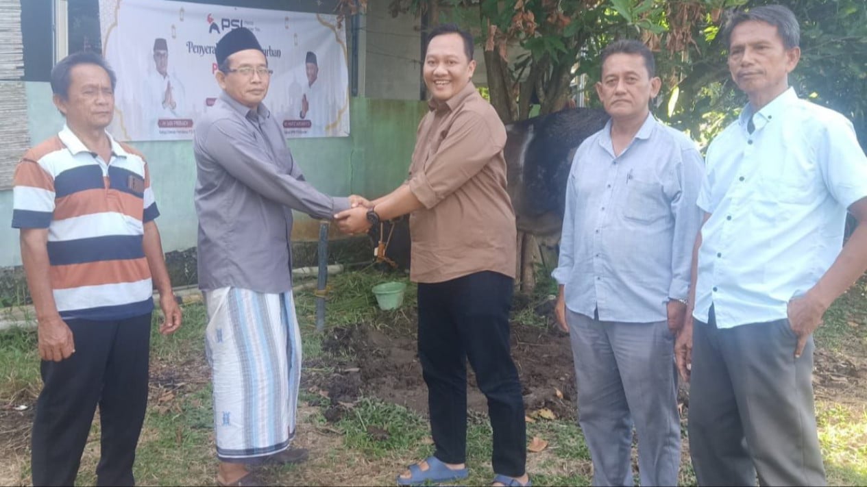 Momentum Idul Adha, PSI Banten Salurkan Hewan Kurban
            - galeri foto