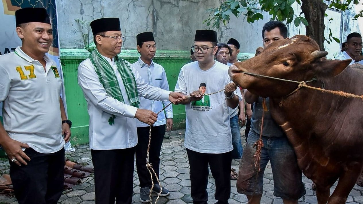 Idul Adha 1447 H: PPP Salurkan Lebih dari 100 Hewan Kurban Serentak di Seluruh Indonesia
            - galeri foto