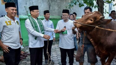 Idul Adha 1447 H: PPP Salurkan Lebih dari 100 Hewan Kurban Serentak di Seluruh Indonesia