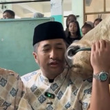 Bikin Air Mata Publik Tak Terbendung, Sapi Kurban Popeye Menangis dan Cium Irfan Hakim Sebelum Disembelih