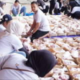 Momentum Idul Adha 1447 H, Askrindo Salurkan 59 Hewan Kurban hingga Wilayah 3T