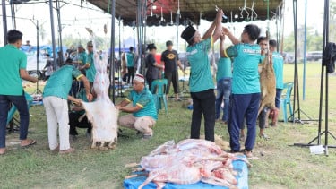 Hamparan Perak Jadi Pusat Kurban Rekor Asia, Aliyah Rizq Gandeng Peternak Lokal di Sumut