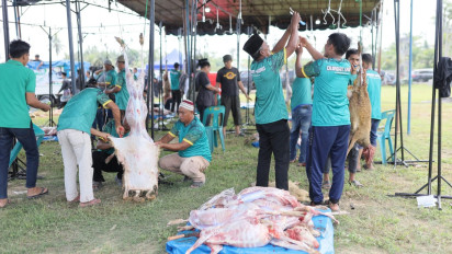 Hamparan Perak Jadi Pusat Kurban Rekor Asia, Aliyah Rizq Gandeng Peternak Lokal di Sumut