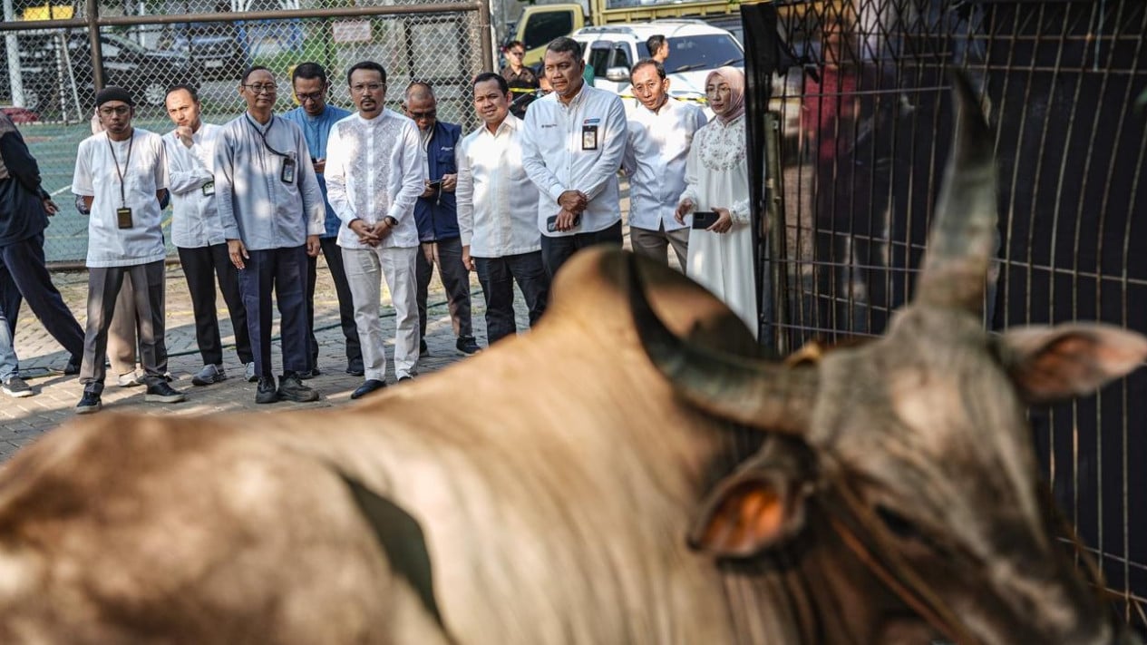 Salurkan 2.031 Hewan Kurban selama Iduladha, Pertamina Patra Niaga Jangkau Wilayah Operasional hingga Daerah Terpencil
            - galeri foto