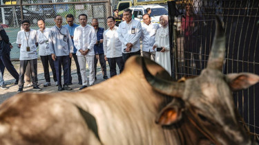 Salurkan 2.031 Hewan Kurban selama Iduladha, Pertamina Patra Niaga Jangkau Wilayah Operasional hingga Daerah Terpencil