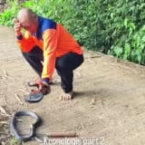 Kronologi Mata Heru  Jejak Si Gundul  Terkena Semburan Bisa Ular Kobra, Langsung Berlari Mencari Air