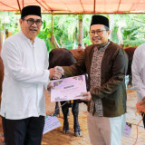 Idul Adha 1447 H, Petrokimia Gresik Salurkan 187 Hewan Kurban kepada Masyarakat