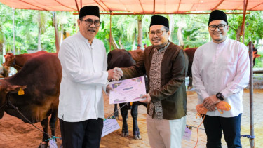 Idul Adha 1447 H, Petrokimia Gresik Salurkan 187 Hewan Kurban kepada Masyarakat
