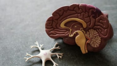 5 Penyakit Degeneratif yang Perlu Diwaspadai Lansia