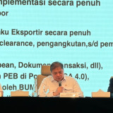 Rombak Total Tata Niaga SDA, Ekspor Batubara hingga Sawit Mulai Besok Lewat PT DSI