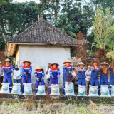 Desa Energi Berdikari Keliki Wujudkan Ketahanan Pangan Berbasis Energi Bersih, Hasilkan Padi Organik hingga 8,7 Ton per Hektare
