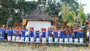 Desa Energi Berdikari Keliki Wujudkan Ketahanan Pangan Berbasis Energi Bersih, Hasilkan Padi Organik hingga 8,7 Ton per Hektare