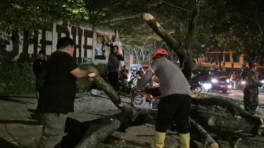 Lima Pengendara Tertimpa Pohon Tumbang di Jatinangor