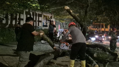 Lima Pengendara Tertimpa Pohon Tumbang di Jatinangor
