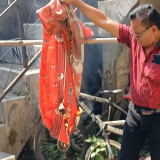 Teror Api Misterius di Sleman Berlanjut, Puluhan Insiden Tercatat hingga Merembet ke Rumah Pengungsian