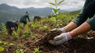 Mengapa Menanam Pohon Jadi Aksi yang Relevan Hari Ini? Ini Upaya Menumbuhkan Harapan untuk Generasi Berikutnya