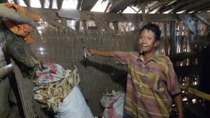 Dua Ekor Sapi Milik Warga Probolinggo Raib Dicuri, Satu Ekor Berhasil Ditemukan
