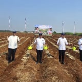 Dukung Hilirisasi Perkebunan, PT SGN Ambil Bagian dalam Gerakan Tanam Serentak