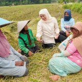 Potensi Produksi Padi Jatim Januari–Juli 2026 Terbesar Se-Indonesia Capai 7,71 Juta Ton GKG