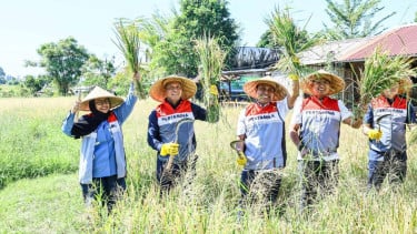 Wujud Keberhasilan Swasembada Pangan dan Energi, Komisaris Pertamina Apresiasi Program TJSL Uma Palak Lestari