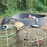 Bikin Resah Masyarakat Garut, Polisi Akhirnya Bongkar Praktik Judi Sabung Ayam