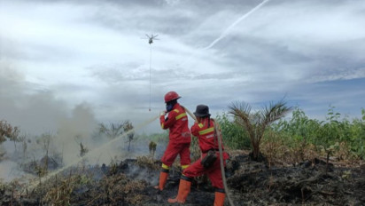 Atasi Karhutla, BNPB Tambahkan Dukungan Dua Helikopter ke Riau