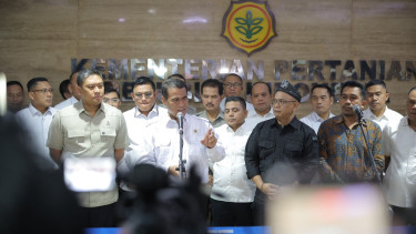 Petani Sawit Senang Sambut Langkah Cepat Mentan Amran Pulihkan Harga TBS Kelapa Sawit