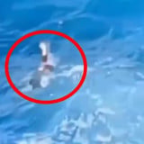 Momen Siswi SMA Tewas Terombang-ambing Ombak Laut setelah Berfoto di Tebing Apparalang Bulukumba Viral