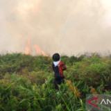 HAkA Deteksi 280 Hektare Hutan dan Lahan Terbakar di Aceh Barat