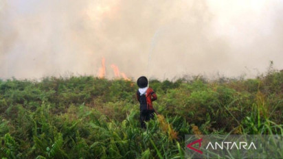 HAkA Deteksi 280 Hektare Hutan dan Lahan Terbakar di Aceh Barat