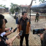 Wali Kota Farhan Umumkan Fase Baru Bandung Zoo, Faunaland Siapkan Revitalisasi Besar