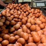 Pemerintah Serap Telur Ayam Ras dari Peternak Lokal, Pastikan Harga Dijaga Tetap Stabil