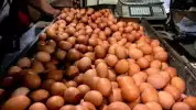 Harga Pangan Hari Ini 17 Juni 2026: Cabai Rawit Rp73.000 per Kilogram hingga Telur Ayam Rp29.550 per Kilogram