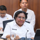 Wamendagri Ribka Tegaskan Komitmen Kawal Percepatan Pembangunan KSPEAN Papua Selatan